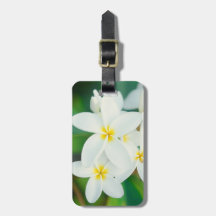 White Plumeria Luggage Tag