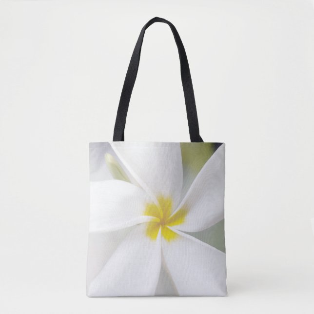 White Plumeria - Makroportrait (Vorderseite)