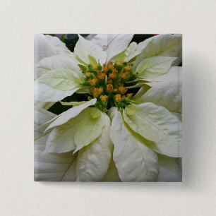 White Poinsettia Elegante Weihnachtsfeiertage Button