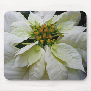 White Poinsettia Elegante Weihnachtsfeiertage Mousepad