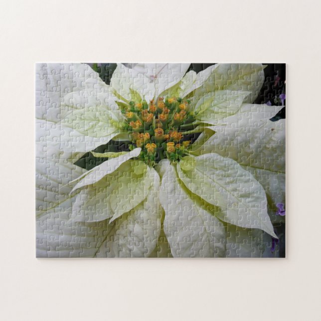 White Poinsettia Elegante Weihnachtsfeiertage Puzzle (Horizontal)