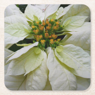 White Poinsettia Elegante Weihnachtsfeiertage Rechteckiger Pappuntersetzer