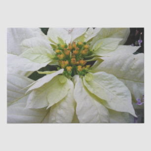 White Poinsettia Elegante Weihnachtsfeiertage Seidenpapier
