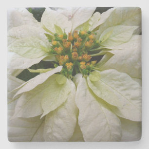 White Poinsettia Elegante Weihnachtsfeiertage Steinuntersetzer