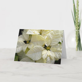 White Poinsettia Feiertagskarte