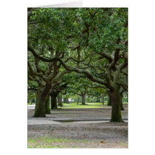 White Point Gardens Malerisch
