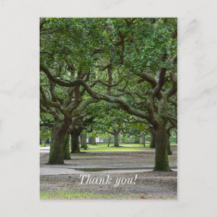 White Point Gardens Malerisch Postkarte