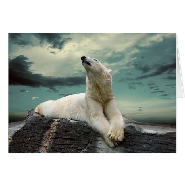 White Polar Bear Hunter auf Felsen (Vorderseite (Horizontal))