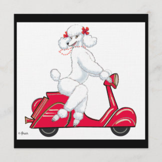 White Poodle auf Scooter Einladung