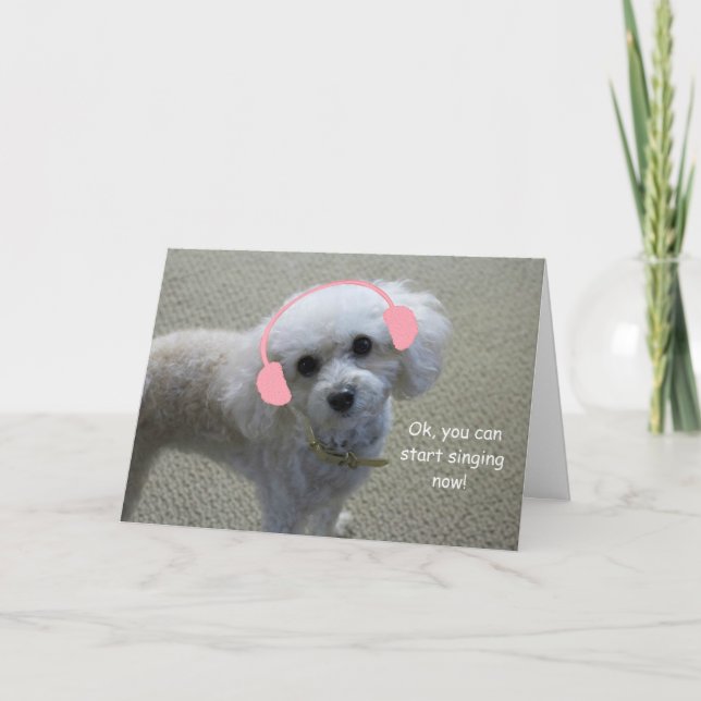 White Poodle Birthday Card by Focus for a Karte (Vorderseite)