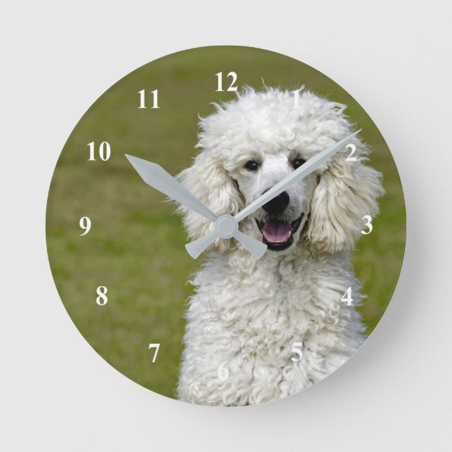 White Poodle Clock Runde Wanduhr (Vorderseite)