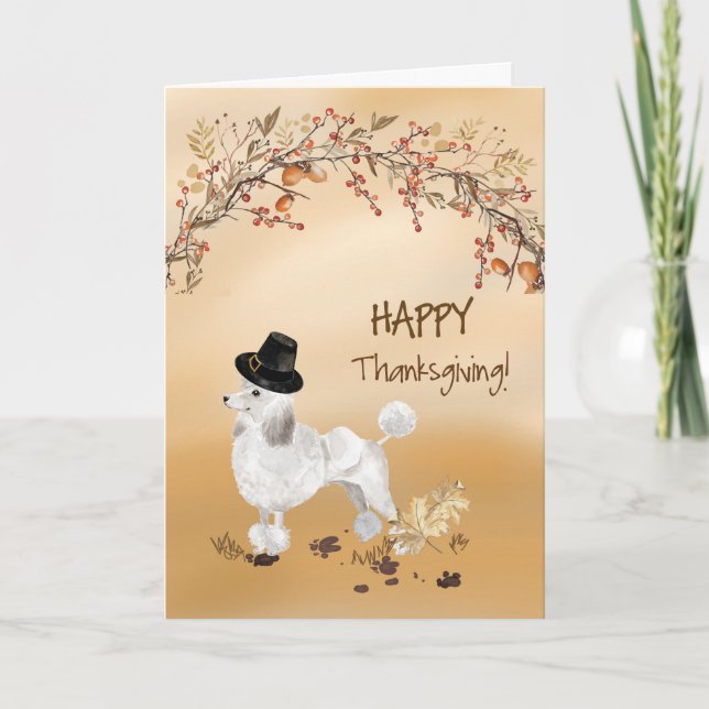 White Poodle Funny Pilgrim Hat Erntedank Karte (Vorderseite)