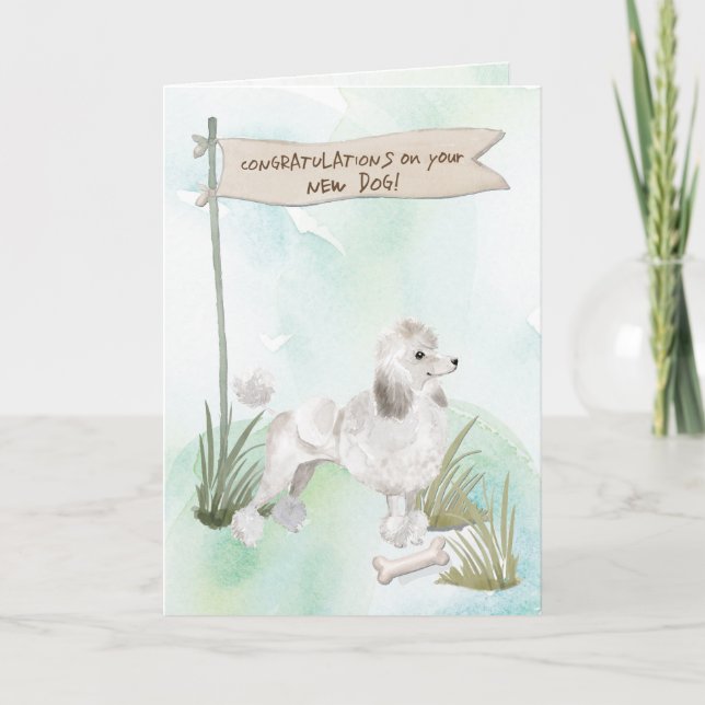 White Poodle Herzlichen Glückwunsch zum neuen Hund Karte (Vorderseite)