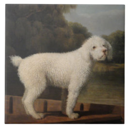 White Poodle in a Punt (von George Stubbs) Fliese