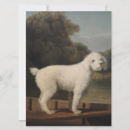 White Poodle in a Punt (von George Stubbs) Karte