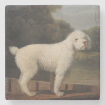 White Poodle in a Punt (von George Stubbs)