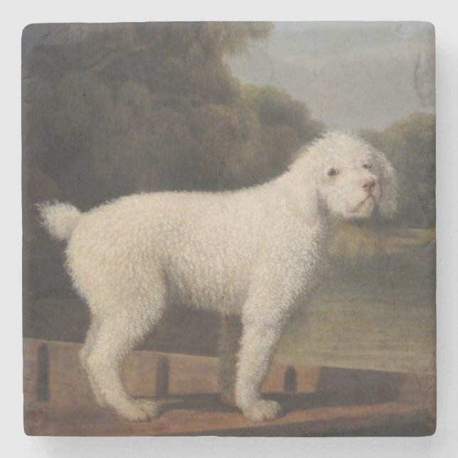 White Poodle in a Punt (von George Stubbs) Steinuntersetzer (Vorderseite)