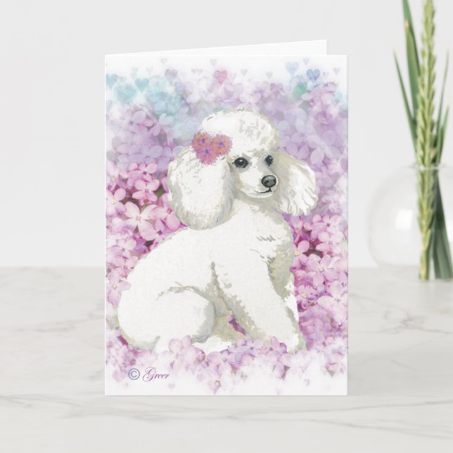 White Poodle in der Lilacs Art Print Card Karte (Vorderseite)