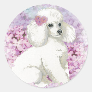 White Poodle in Lilacs Kunst und Geschenke Runder Aufkleber
