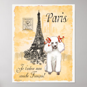 White Poodle Paris Eiffelturm Vintag Printmedien Poster