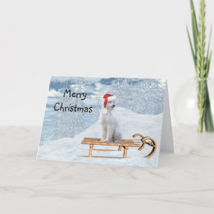 White Poodle Weihnachten Karte