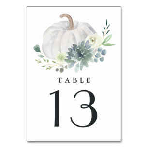 White Pumpkin Elegant Succulent Fall Chic Wedding Tischnummer