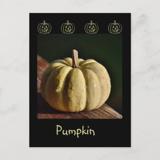 White Pumpkin Mini Gourd Fall Postcard Postkarte