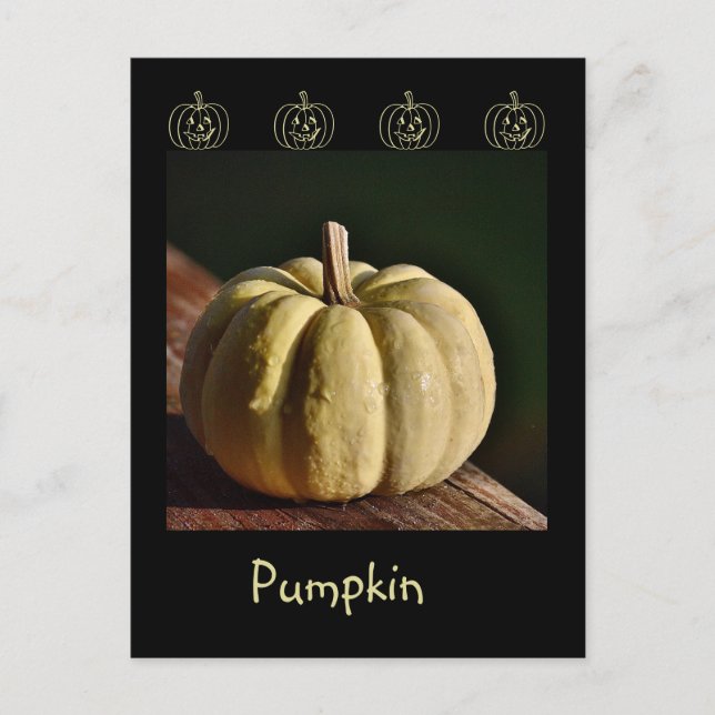 White Pumpkin Mini Gourd Fall Postcard Postkarte (Vorderseite)