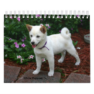 White Puppies Kalender