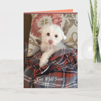 White Puppy Under a Blanket Get Well Soon Card Karte