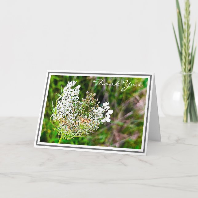 White Queen Anne's Lace-Blume im Grünen Feld Karte (Vorderseite)