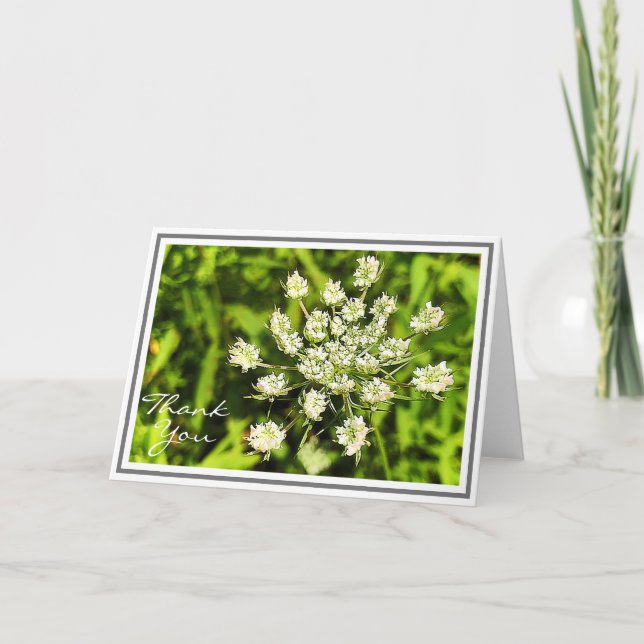 White Queen Anne's Lace Blume Karte (Vorderseite)