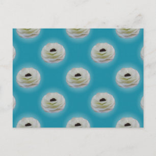 White Ranunculus Blume Postcard Postkarte
