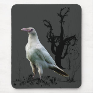 White Raven, Wild Bird, Fantasy, Goth Mousepads