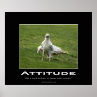 White Ravens Motivierend Poster