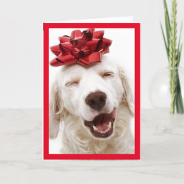 WHITE RETRIEVER TRAING BOW HAPPY NEW YEAR CARD DANKESKARTE