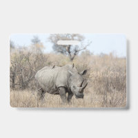 White Rhino