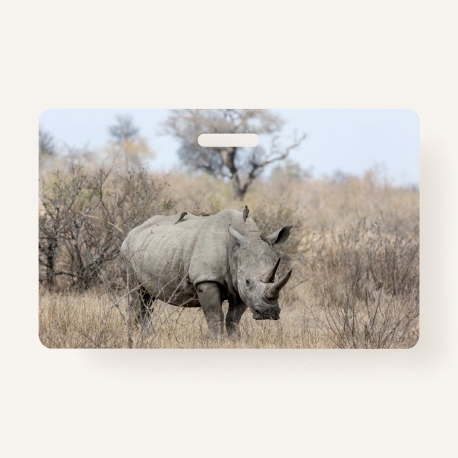 White Rhino Ausweis (Vorderseite)