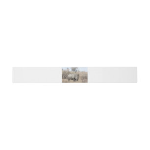 White Rhino Einladungsbanderole