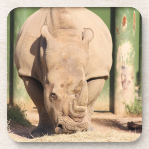 White Rhino Getränkeuntersetzer