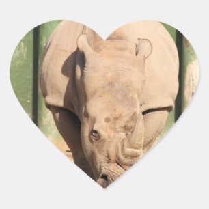 White Rhino Herz-Aufkleber