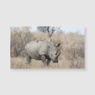 White Rhino Magnetkarte