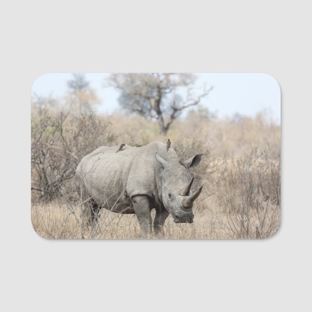 White Rhino Namensschild (Vorderseite)
