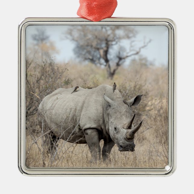 White Rhino Ornament Aus Metall (Vorne)