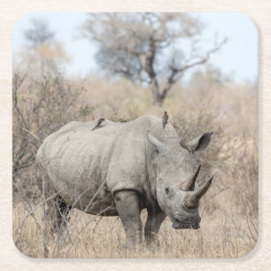 White Rhino Rechteckiger Pappuntersetzer
