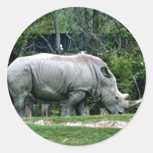 White Rhino Runder Aufkleber
