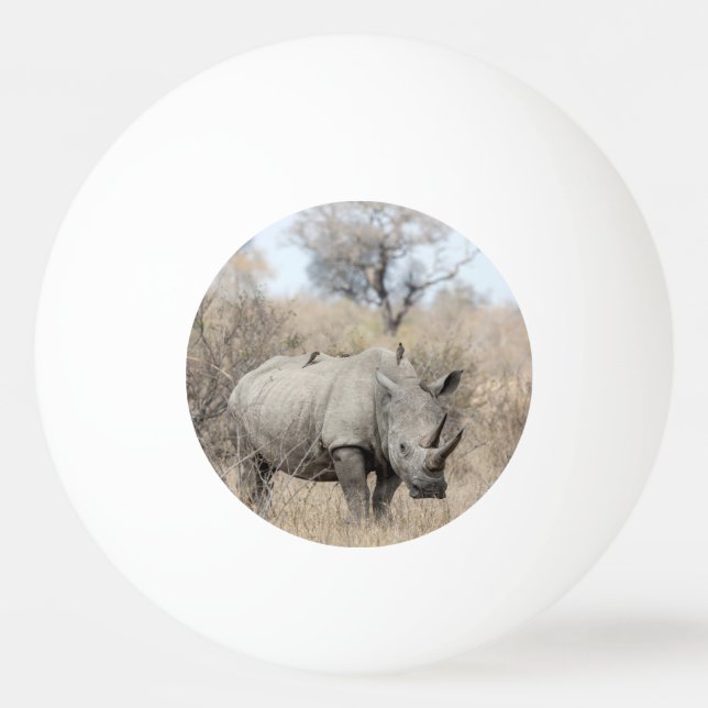 White Rhino Tischtennisball (Vorderseite)