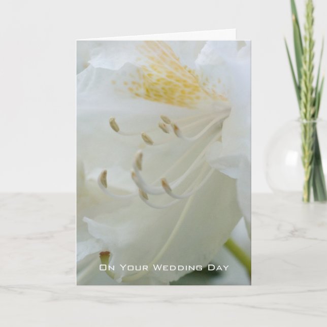 White Rhododendron | Wedding Congratulation Karte (Vorderseite)