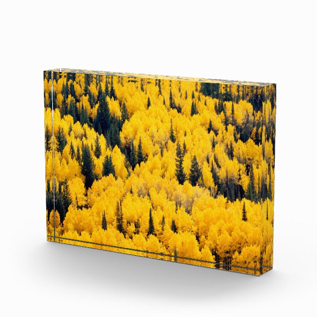White River National Forest | Aspen, Colorada Fotoblock (Rechts)