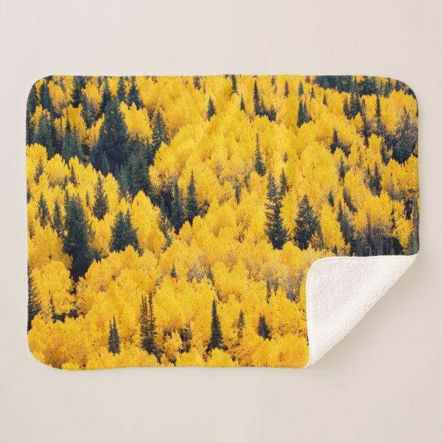 White River National Forest | Aspen, Colorada Sherpadecke (Vorderseite (Horizontal))